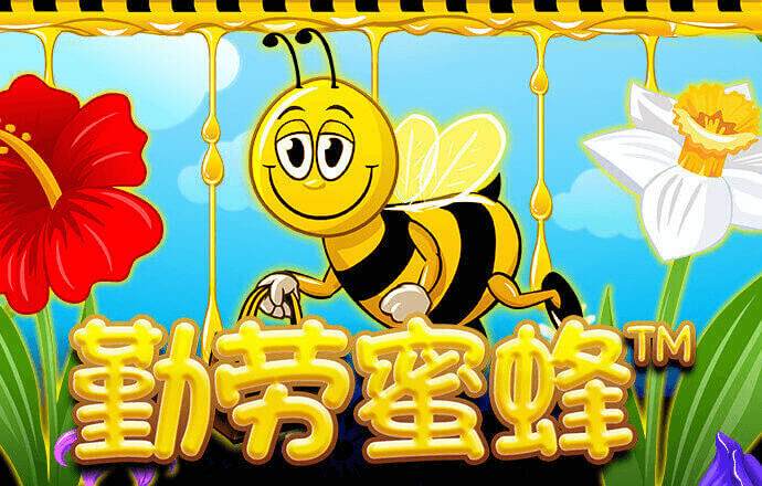 飞亚体育官网
